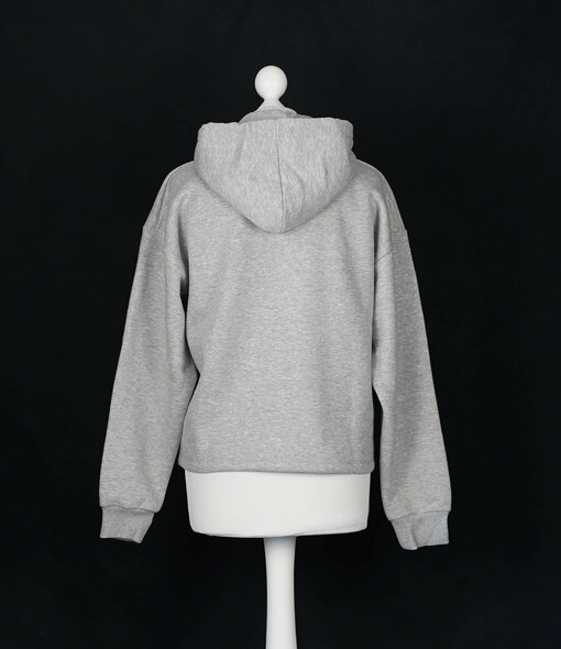 HERRLICHER - Hoodie mit Applikation "HAVEN" grey melange (HL39)